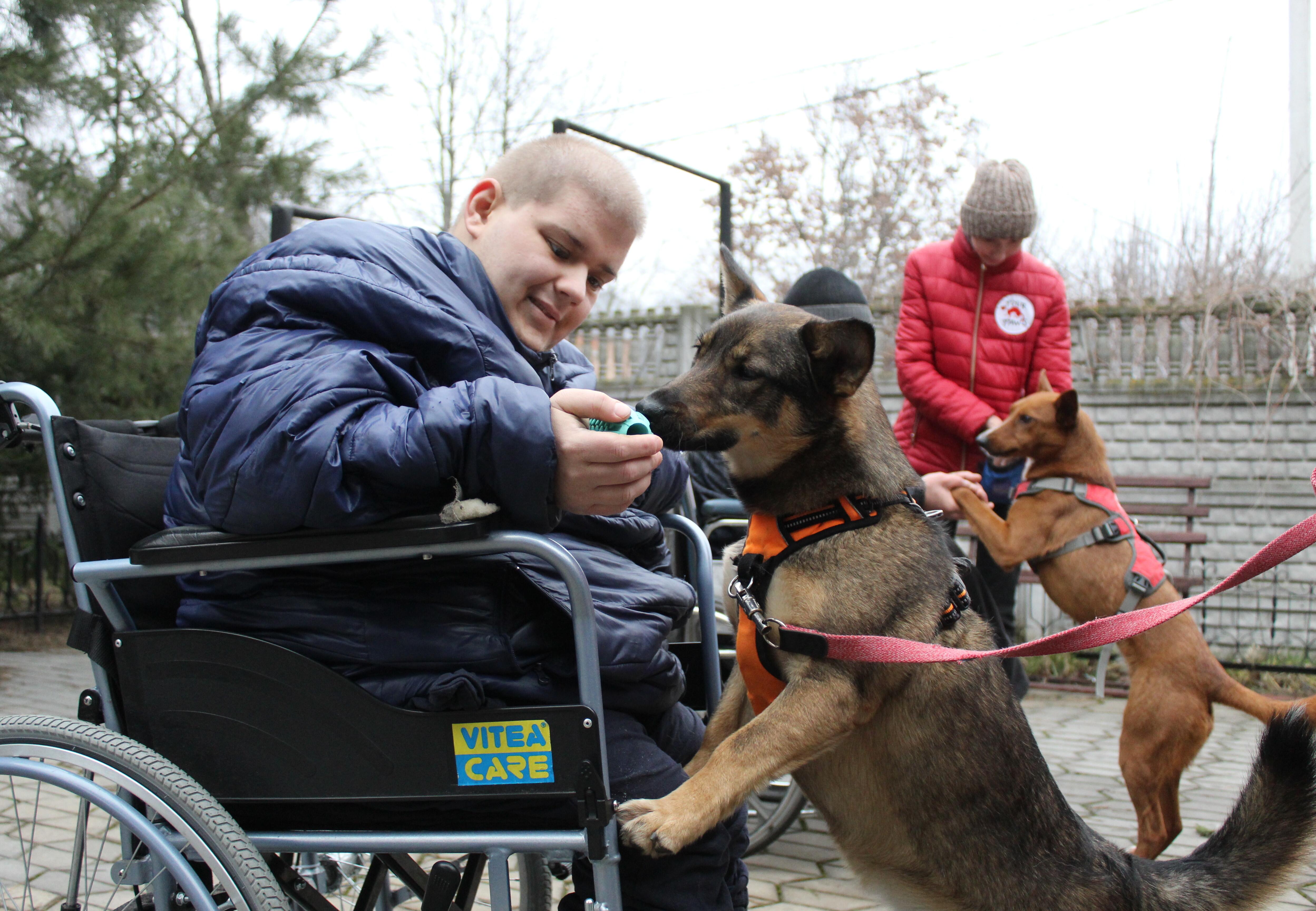 FOUR PAWS Ukraine Receives Award for Animal Assisted Interventions Project  - FOUR PAWS International - Animal Welfare Organisation