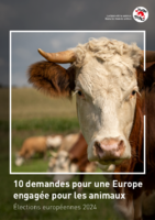 10 demandes pour une Europe engagée pour les animaux