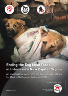 An Investigative Report into the Trade of Dogs for Meat in Balikpapan, Indonesia 