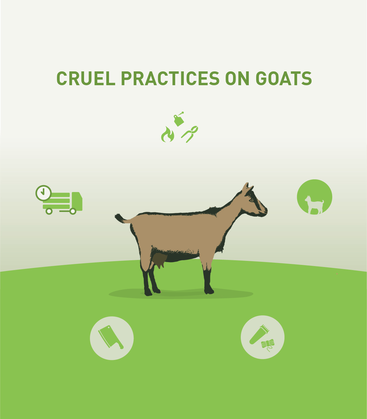 Cruel Practices on goats