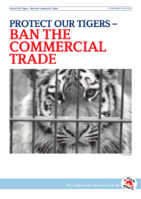 Protect Our Tigers – Ban the Commercial Trade