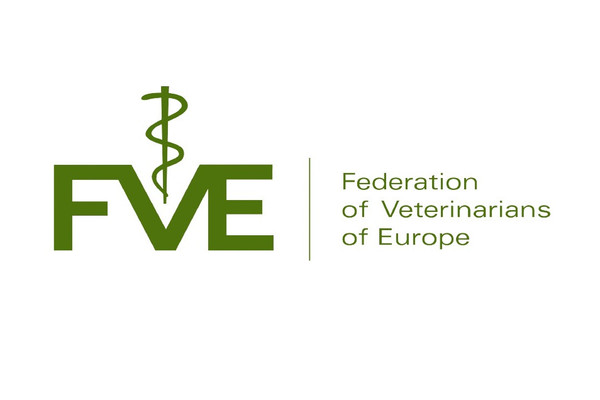 FVE Logo