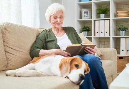 Elegant senior woman reading a book sitting on couch with pet dog beside her