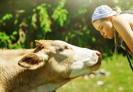 Girl and cow