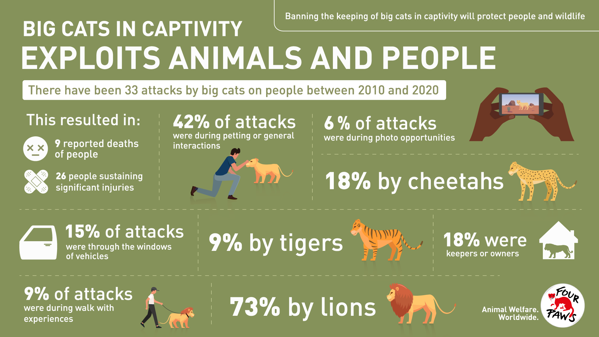 South Africa's Captive Predator Breeding Industry - FOUR PAWS Australia -  Animal Welfare Charity