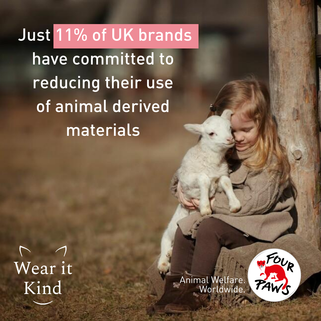Is your favourite fashion brand on the naughty or nice list this Christmas?  - Animal Charity - Animal Welfare Organisation - FOUR PAWS UK