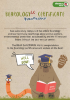 Certificate Bearology 2021