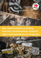 Non-implementation of existing Decisions and Resolutions related to tigers and implications for all big cats