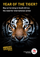 YEAR OF THE TIGER? Big cat farming in South Africa: the need for international action