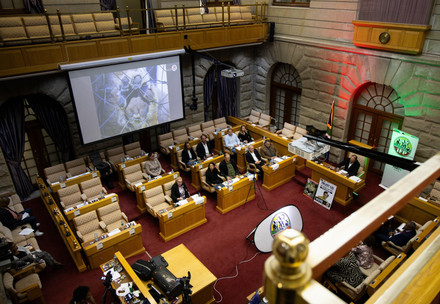 Fiona Miles, Director of FOUR PAWS in South Africa delivers a presentation about the big cat trade to the IFP at Parliament in Cape Town South Africa