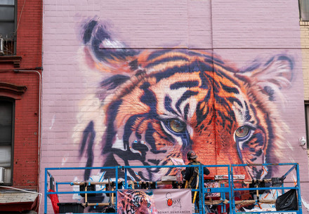 Artist Sonny Sundancer paints tiger mural in NYC