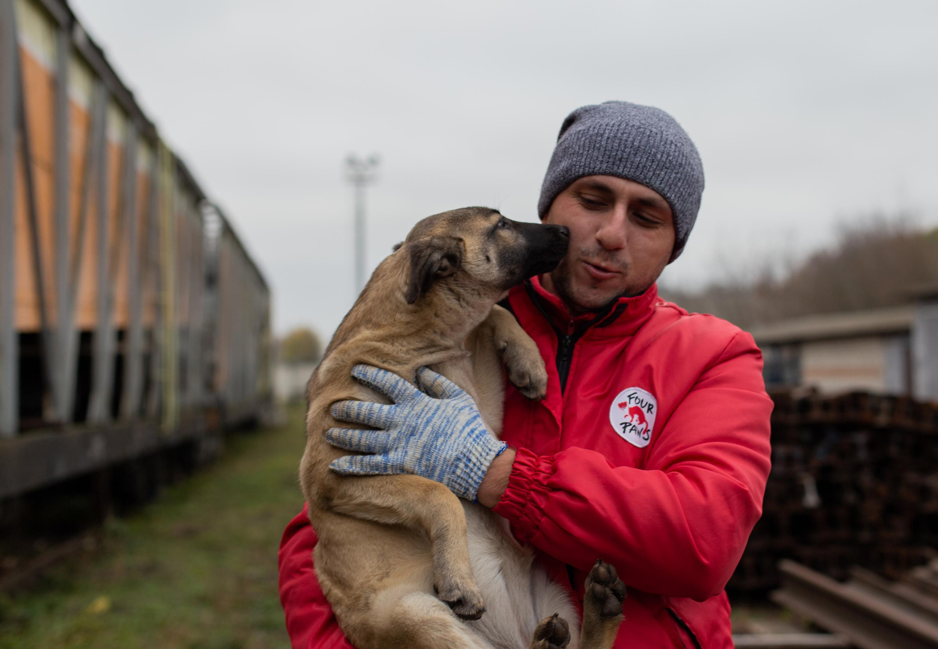 FOUR PAWS staff rescuing stray dog in Ukraine