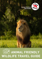 ZA | Travel Kind Animal Friendly Wildlife Travel Guide
