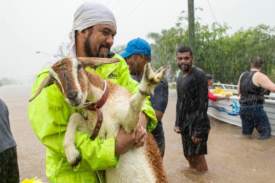 Emergency rescuer helping animals