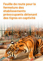 Roadmap to closing captive tiger facilities of concern_French version