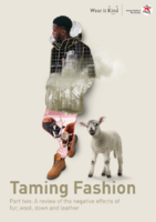 Taming Fashion Report | Part 2