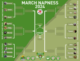 March Napness Tabelle 2024