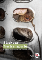 Report Blackbox Tiertransporte