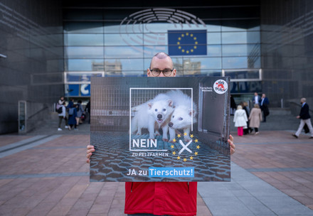 VIER PFOTEN-Mitarbeiter protestieren mit Transparenten für bessere Tierschutzgesetze vor dem Europäischen Parlament in Brüssel, Belgien