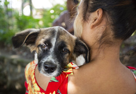 Partial victory in the fight against rabies: FOUR PAWS vaccinates over 30,000 dogs and cats in Myanmar