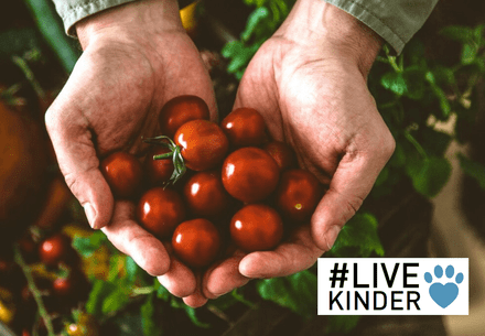#LiveKinder in what we eat