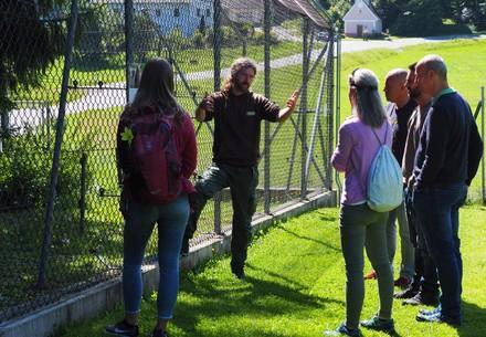 Guided tour at BEAR SANCTUARY Arbesbach