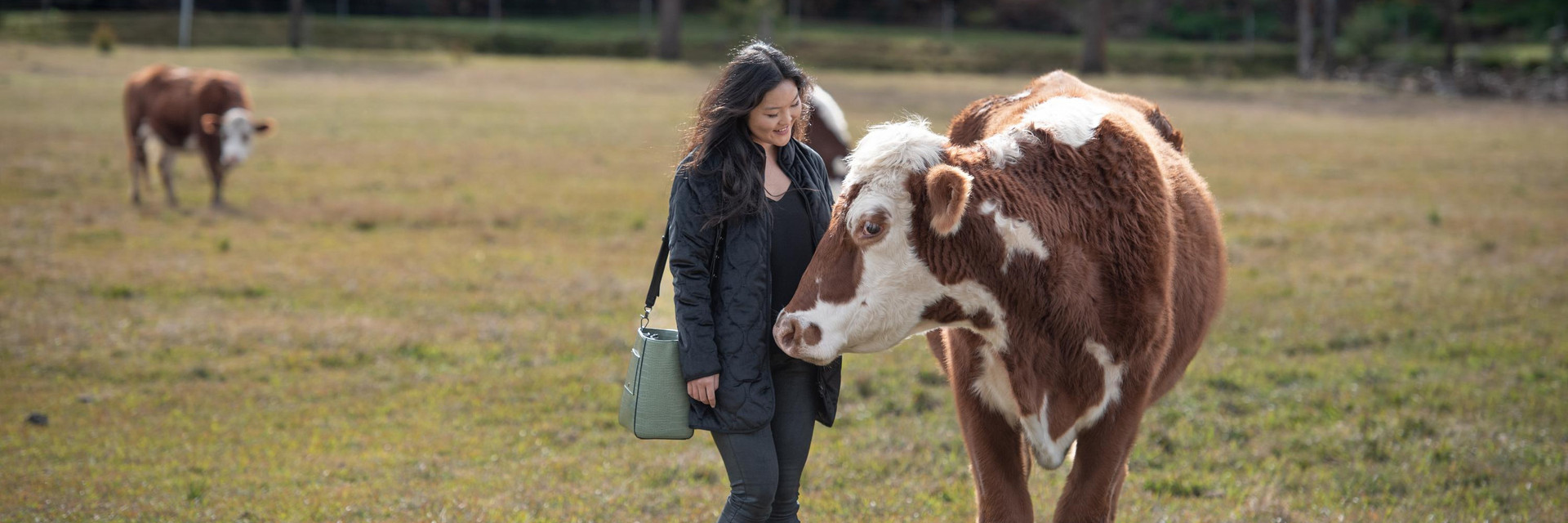 Woman with a rescued cow