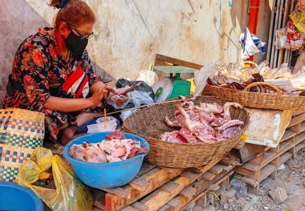 Dog and cat meat trade in the time of the COVID-19 epidemic in Phnom Penh, Cambodia 