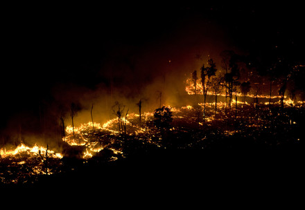 Man made forest fires to clear land for cattle or crops