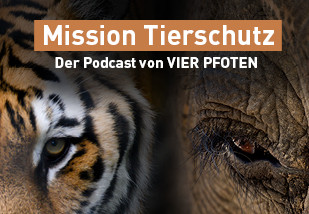 Mission Tierschutz - der Podcast von VIER PFOTEN