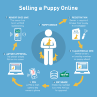Selling a Puppy Online