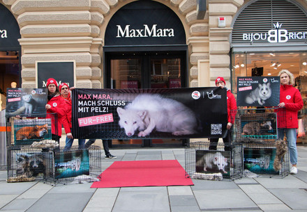 VIER PFOTEN Aktion vor Max Mara Geschäft in Wien