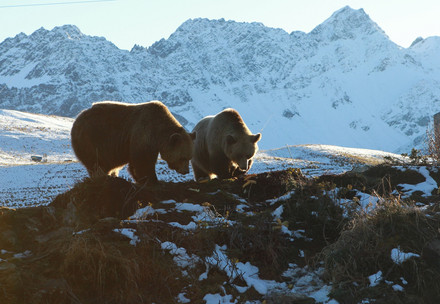 Amelia und Meimo im Arosa Bärenland