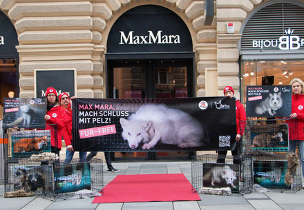 Protest outside Max Mara clothing store