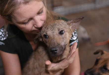 Lola Webber von Humane Society International rettet Hunde vor dem Schlachthaus