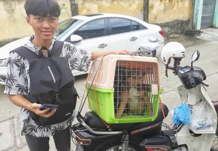 Local activist, taking the dogs to safety on the back of his motorbike