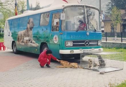 Die erste mobile VIER PFOTEN Streunerklinik im Einsatz in Rumänien (1999)
