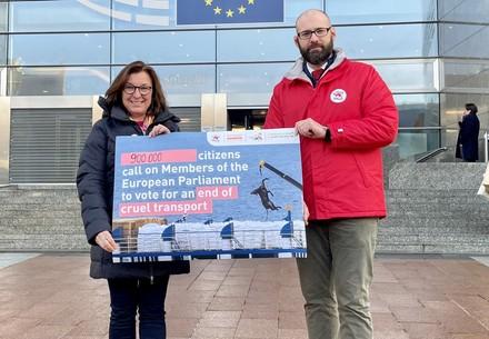 900 000 citizens call on Members of the European Parliament to vote for an end of cruel transport