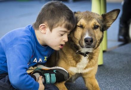 QUATRE PATTES en Roumanie : les chiens errants deviennent des chiens de thérapie
