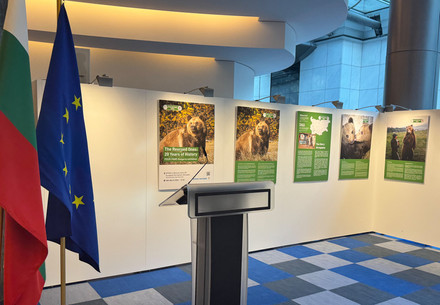 THE Rescued Ones: 20 YEARS OF HISTORY exhibition 2024 in EP