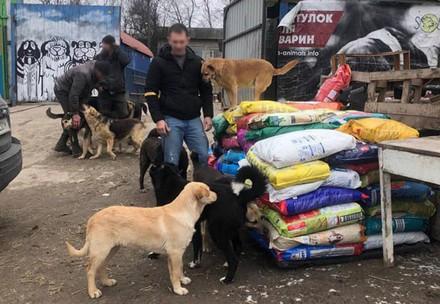VIER PFOTEN und Partner leisten dringende Hilfe für Tausende von Hunden und Katzen