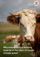 Why ending factory farming must be discussed