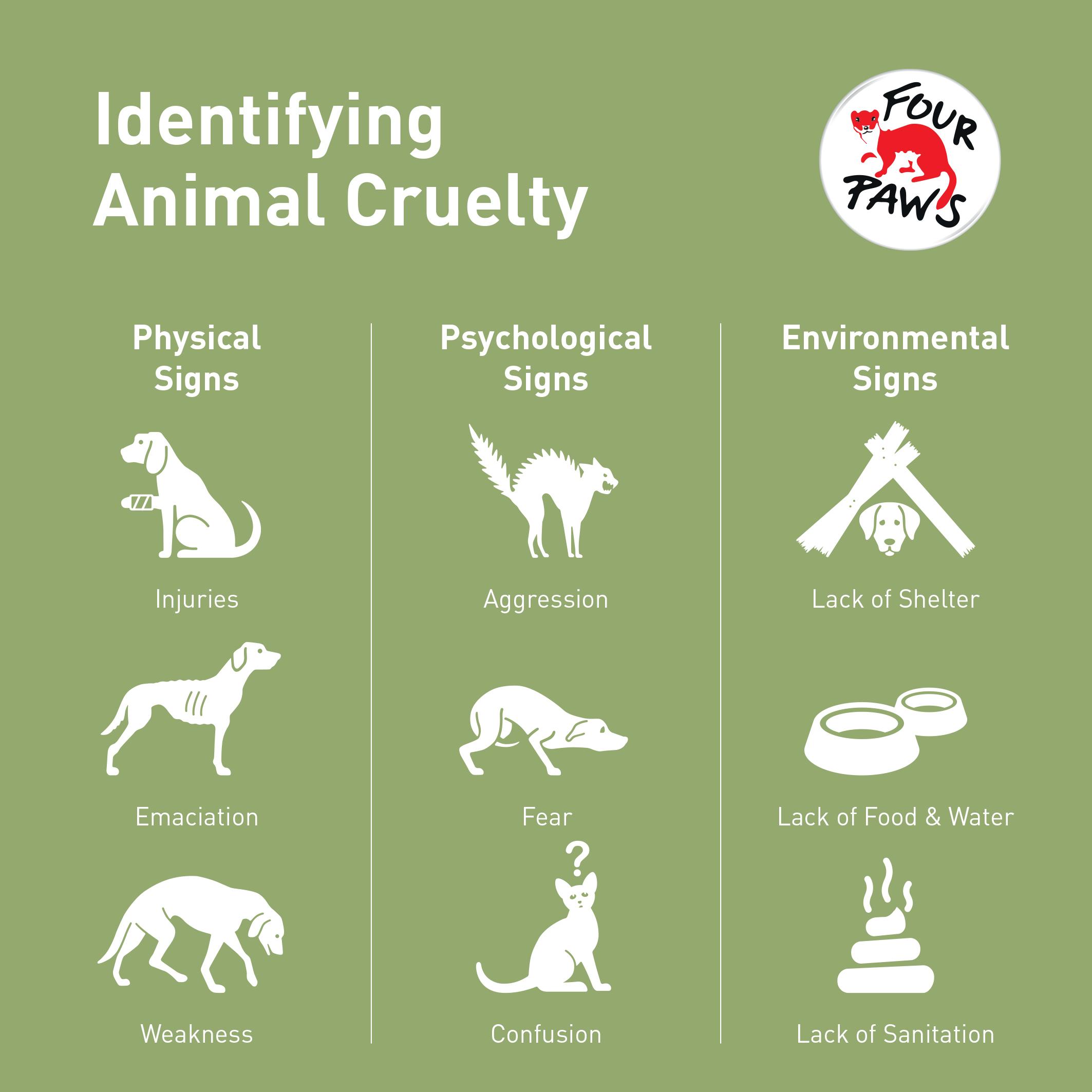 How to identify cruelty to animals - FOUR PAWS International - Animal  Welfare Organisation