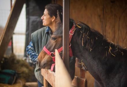 Woman and a horse in a barn