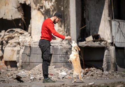 Des soins pour les animaux errants dans les rues de Bucha et d'autres villes ukrainiennes