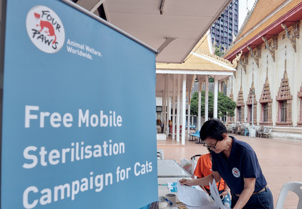 Mobile sterilisation camapign by FOUR PAWS in Thailand