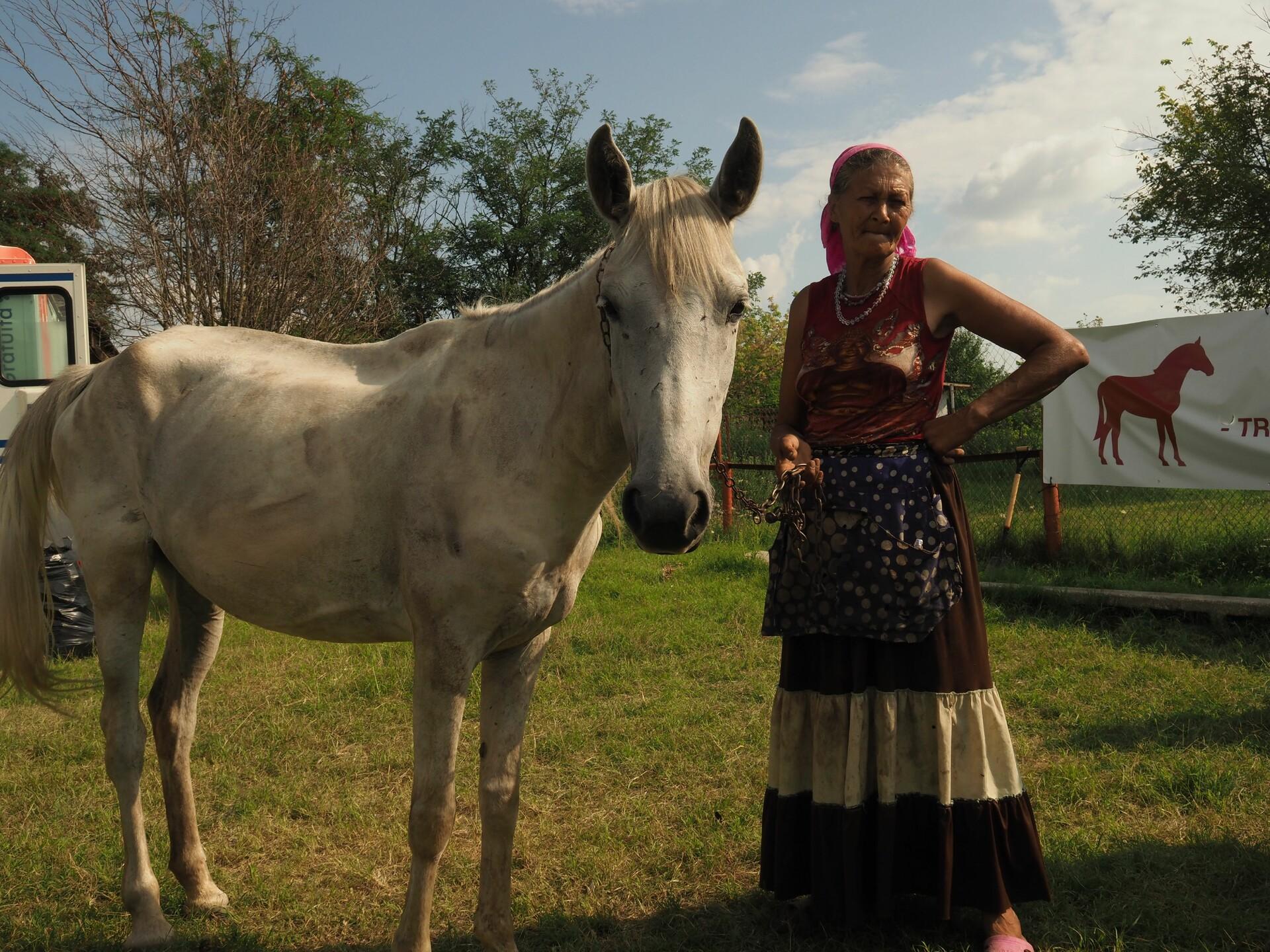 Working horses Romania