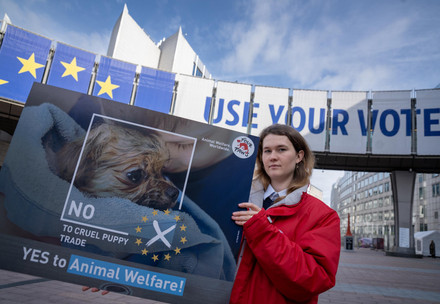 FOUR PAWS employee protesting in front of the European Parliament