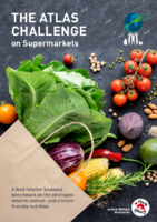 The Atlas Challenge Supermarkets Report