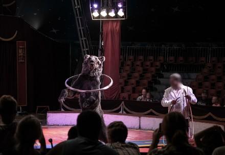 Bear in a Circus